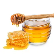 Conférence sur les abeilles