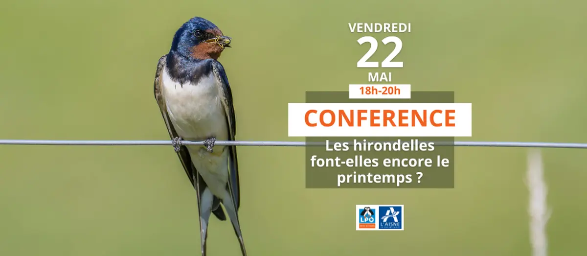Conférence sur les hirondelles à Geodomia !