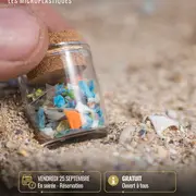 Conférence sur les microplastiques avec la Maison de la Loire