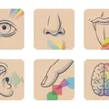 Conférence sur les sens et le cerveau chez l'homme et l'animal à Tours