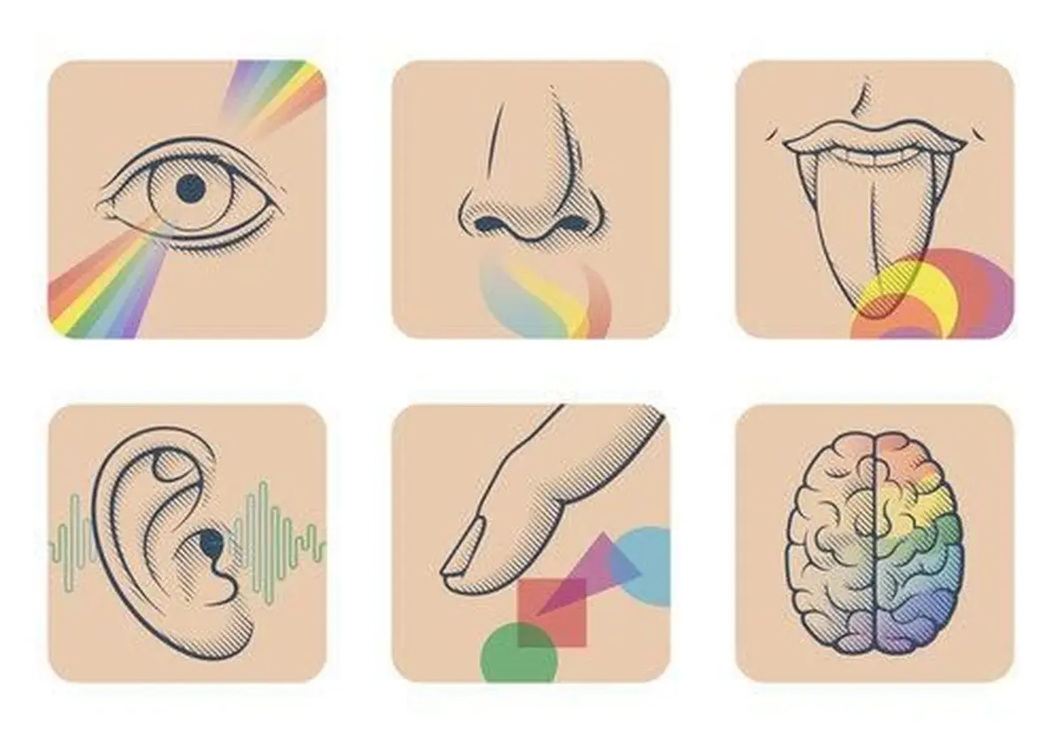 Conférence sur les sens et le cerveau chez l'homme et l'animal à Tours