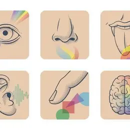 Conférence sur les sens et le cerveau chez l'homme et l'animal à Tours