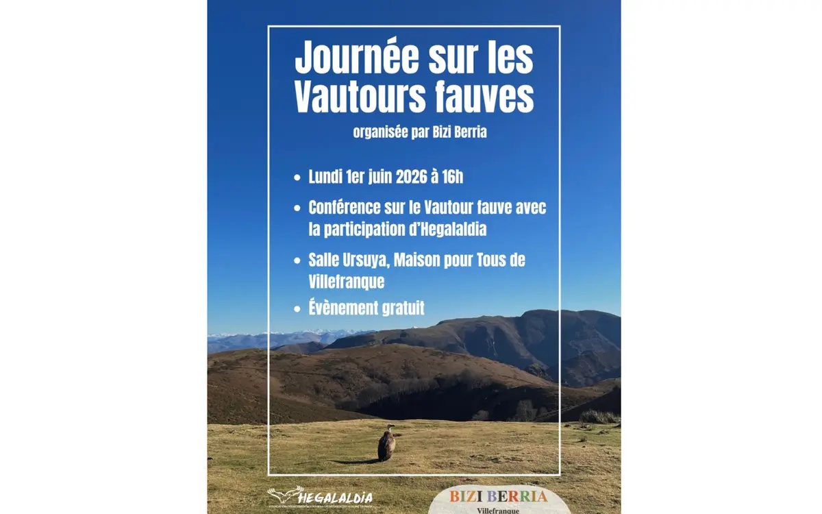 Conférence sur les vautours fauves