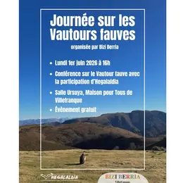 Conférence sur les vautours fauves