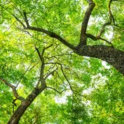 Conférence « Une traversée de la Double avec Eugene Le Roy »