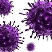 Conférence UTL « Les épidémies vues par les mathématiques »