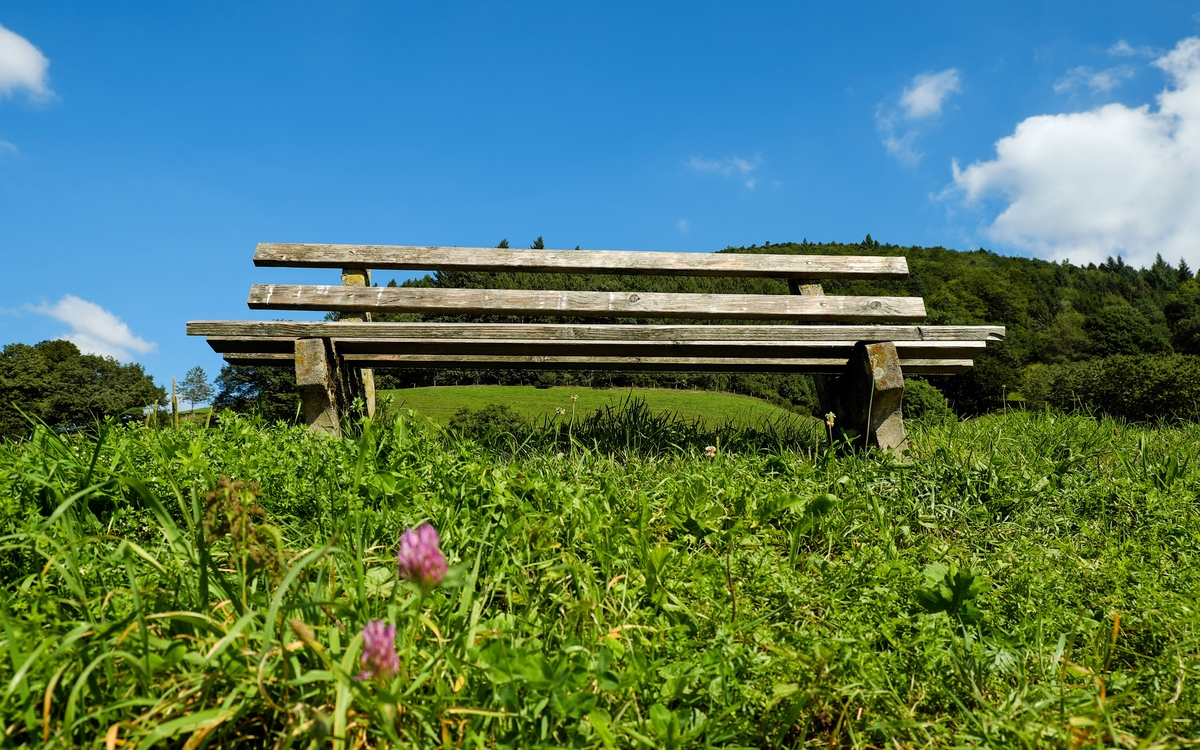 Conférence – Voyage contemplatif autour des merveilles de la nature