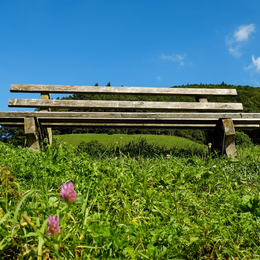 Conférence – Voyage contemplatif autour des merveilles de la nature