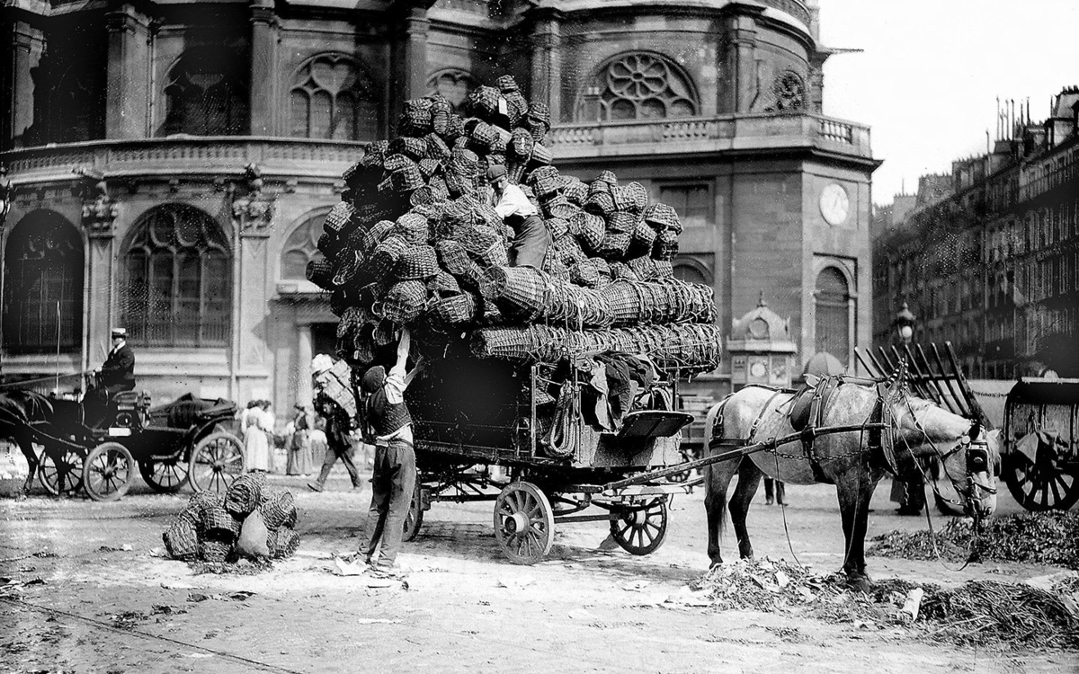 Conférences : TÊTE DE CHIENS ! Les animaux à Paris, XVIIIe - XXe siècles