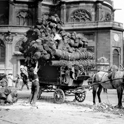 Conférences : TÊTE DE CHIENS ! Les animaux à Paris, XVIIIe - XXe siècles
