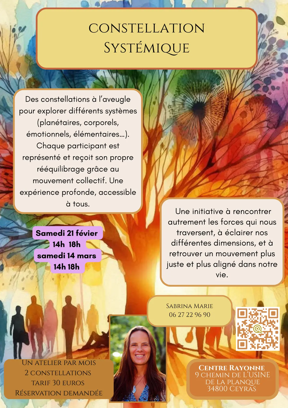 Constellation Systémique