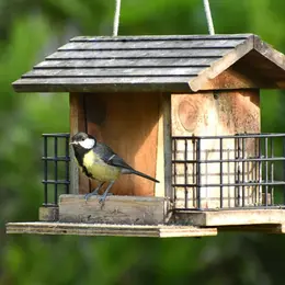 Construction d'une mangeoire à oiseaux  à Terres d'oiseaux