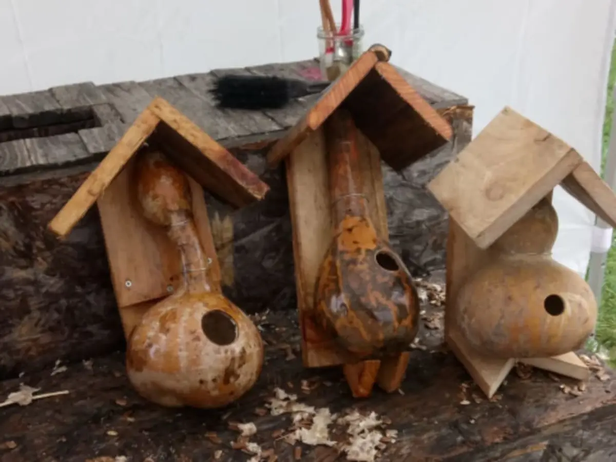 Constructions de nichoirs en calebasse à Montardon (64)