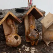 Constructions de nichoirs en calebasse à Montardon (64)