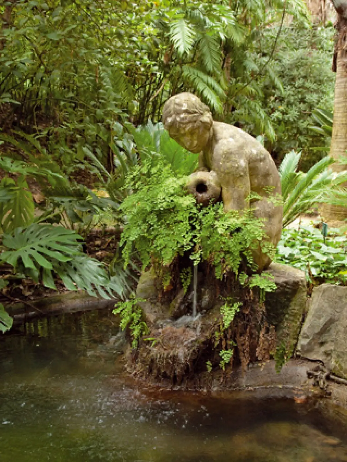 Construire un bassin extérieur en 3 étapes