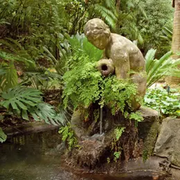 Construire un bassin extérieur en 3 étapes