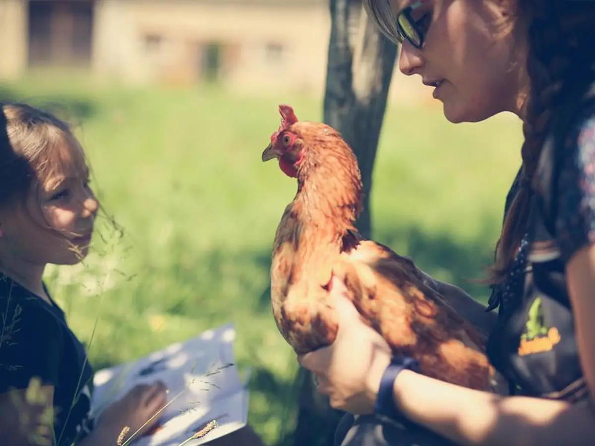 Conte participatif à la ferme de la Hardonnerie