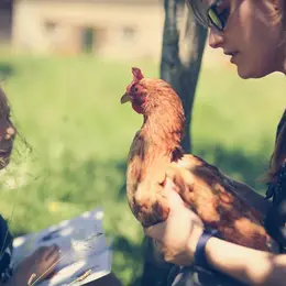 Conte participatif à la ferme de la Hardonnerie