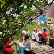 Conte sur les grenouilles et observations, à la Cueillette de l'Aragnon