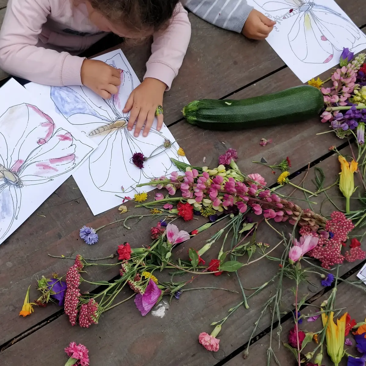 Conte sur les papillons et coloriage végétaux, à la Cueillette de l'Aragnon