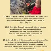 Contes à plumes et à poils en musique chez Lama Émoi