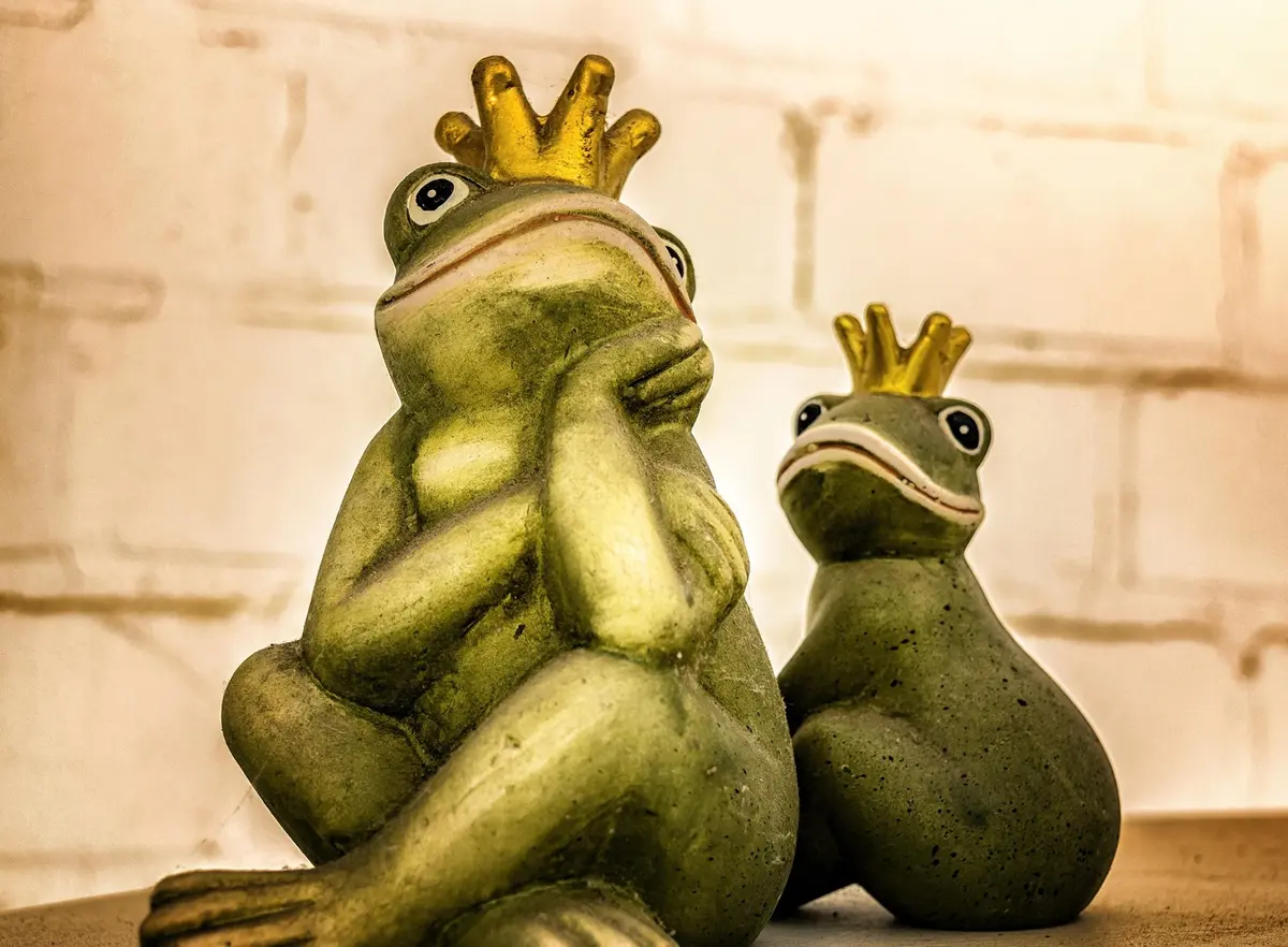 Contes avec Claire El Mejdoub