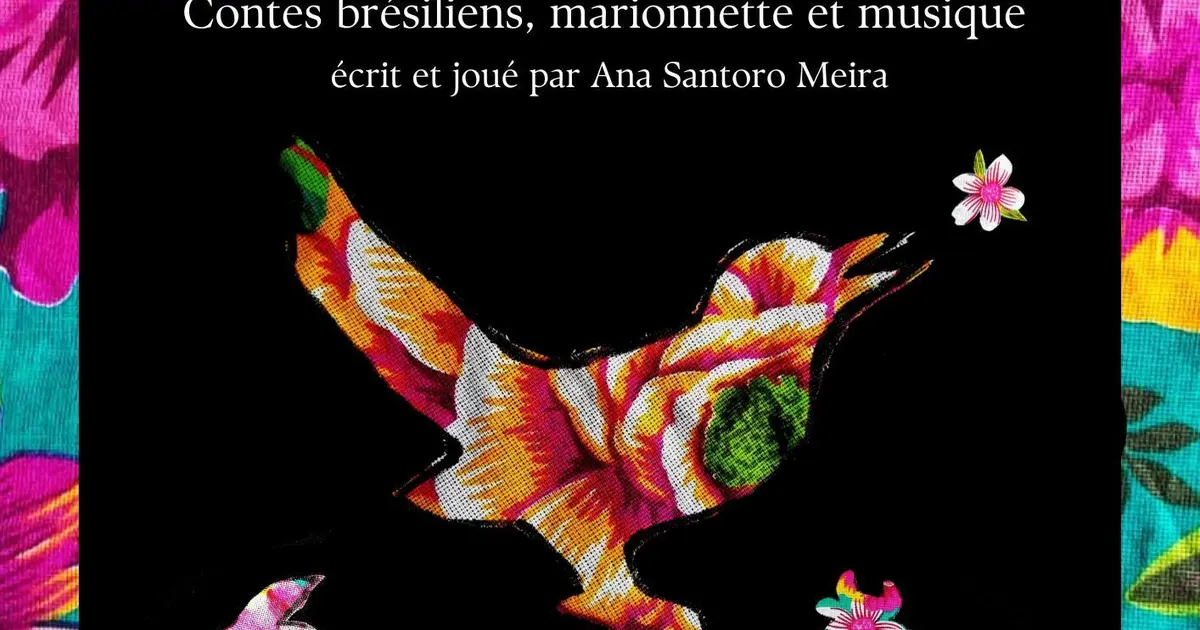 Contes De La Sabiá