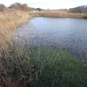 Contes des marais du Platon