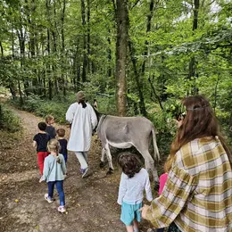 Contes et légendes au bois des Roches à Rocheville