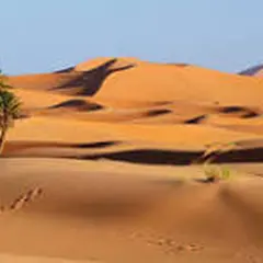 Contes et légendes du Sahara