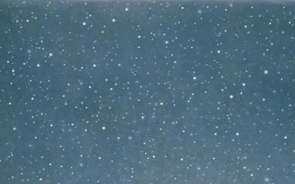 Vija Celmins (1938) Night Sky #11, 1995 © © Vija Celmins, Courtesy Matthew Marks Gallery / Photographie : © Vija Celmins