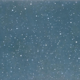 Contrepoint contemporain. Vija Celmins