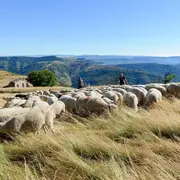 Conversation Croisée Sur L’agropastoralisme