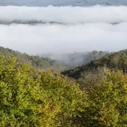Conversation marchée et expérience sensorielle sur le paysage