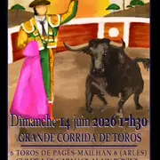 Corrida 2026