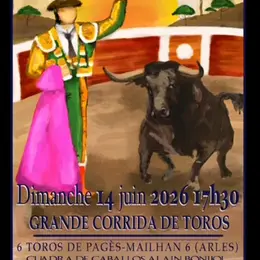 Corrida 2026