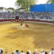 Corrida des Fêtes de la Saint-Jean