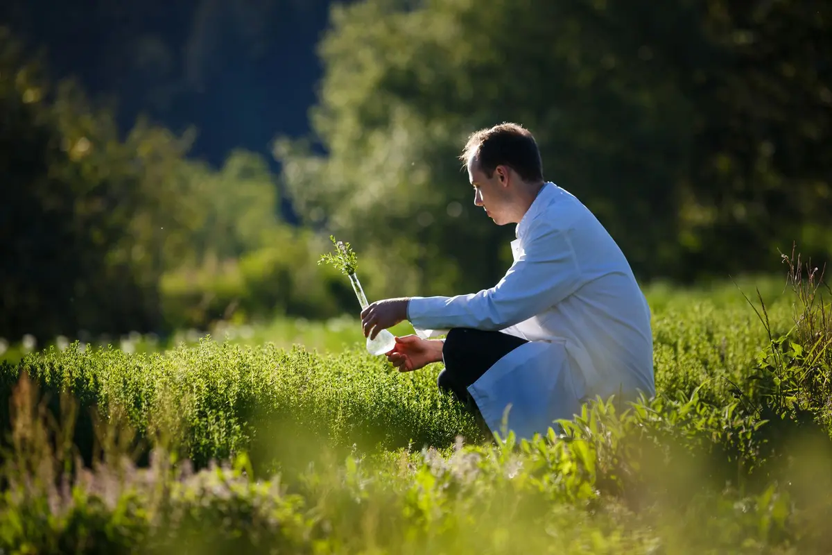 Foret, l'effet Vosges : Les plantes au service du soin de la peau