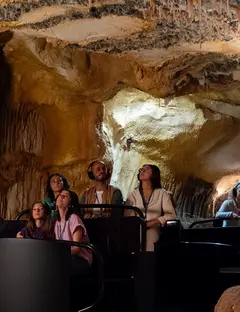 Grotte Cosquer Méditerranée