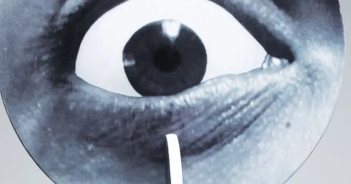 Côté Jardin : Le récit des yeux