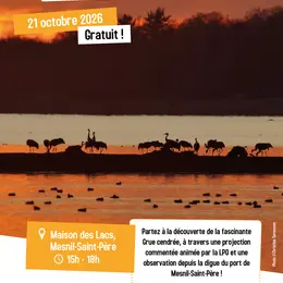 Coucher de grues sur le lac d’Orient