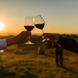 Coucher De Soleil Et Dégustation De Vins - Saint-Guiraud