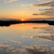 Coucher du soleil dans les marais