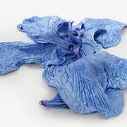 Couleurs de Corée : une exposition exceptionnelle pour les 140 ans de relations franco-coréennes