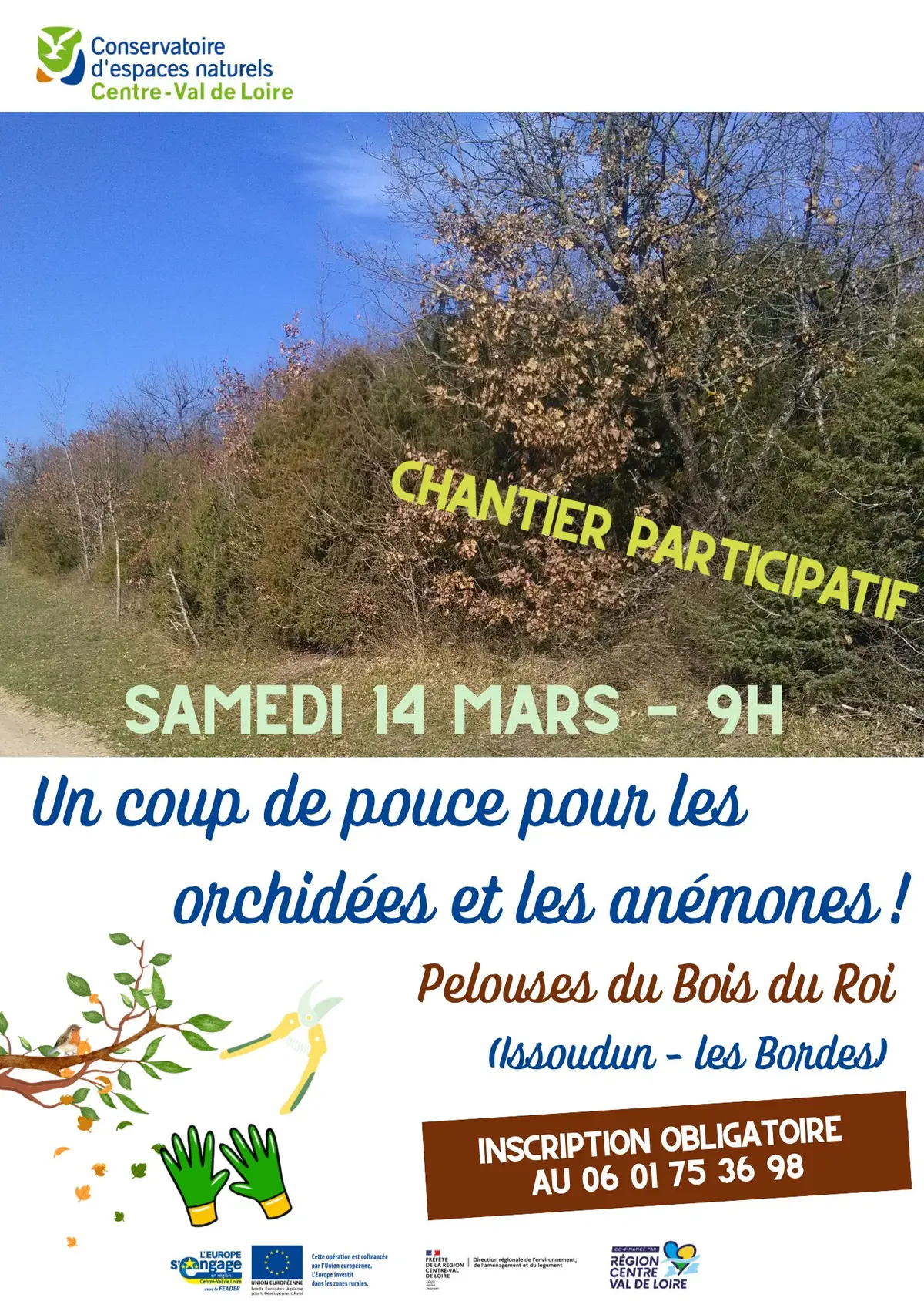 Coup de pouce pour les orchidées et les anémones des Pelouses du Bois du Roi