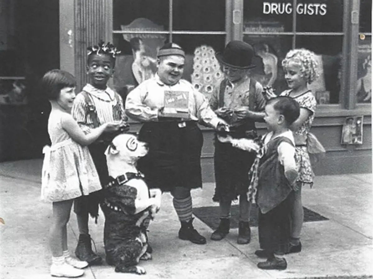 Coup de projecteur sur les petites canailles