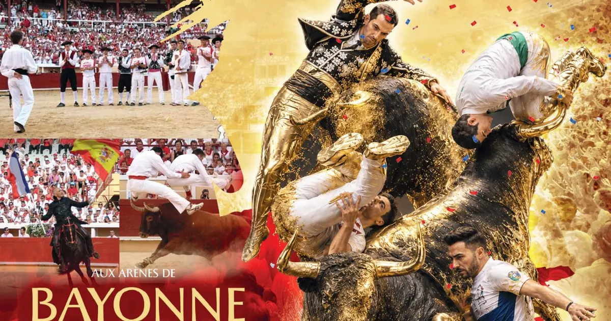 Coupe de France de recorte aux arènes de Bayonne