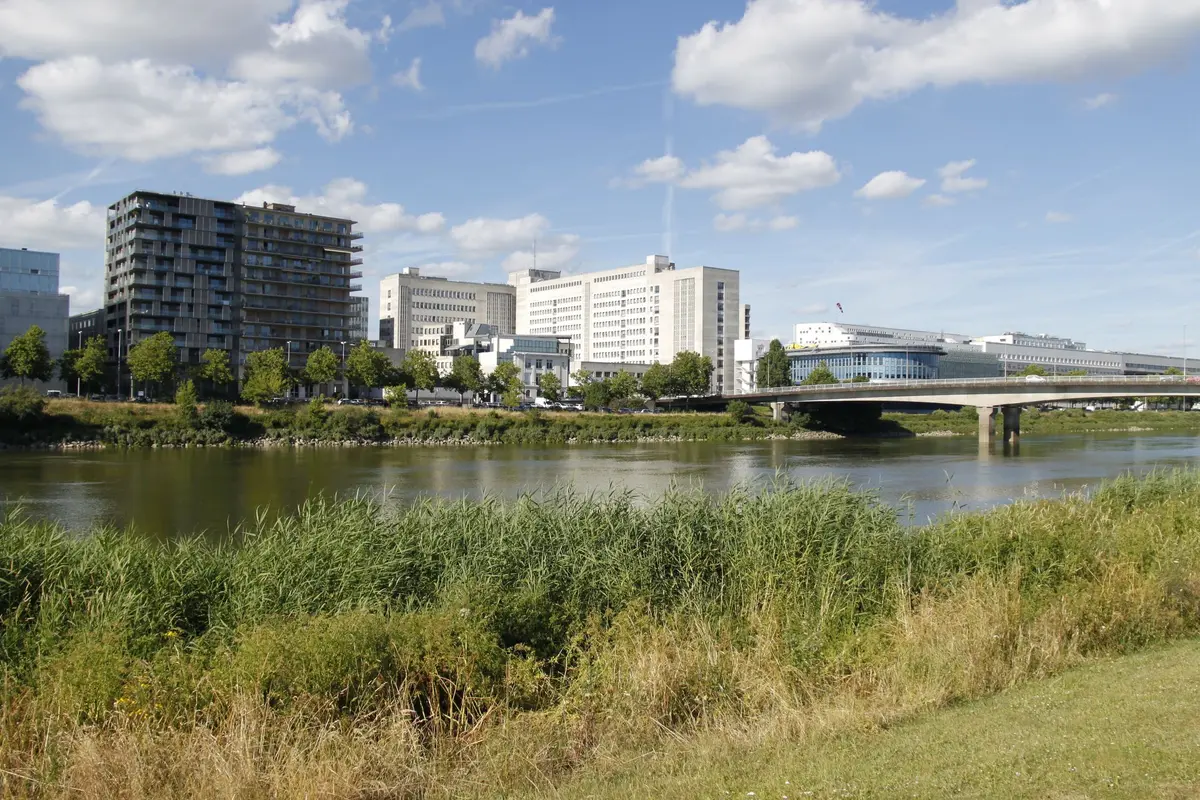 Rives de Loire
