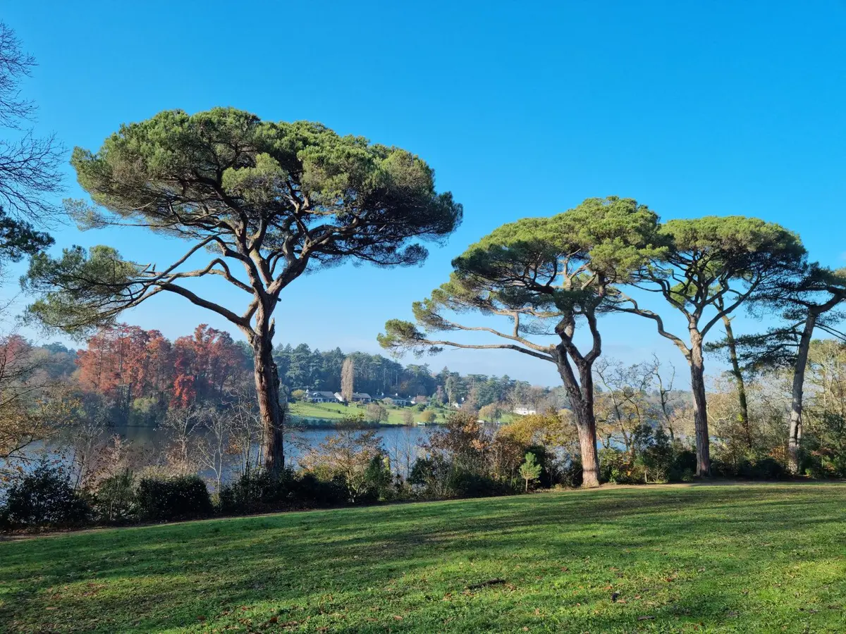 Parc de la Chantrerie