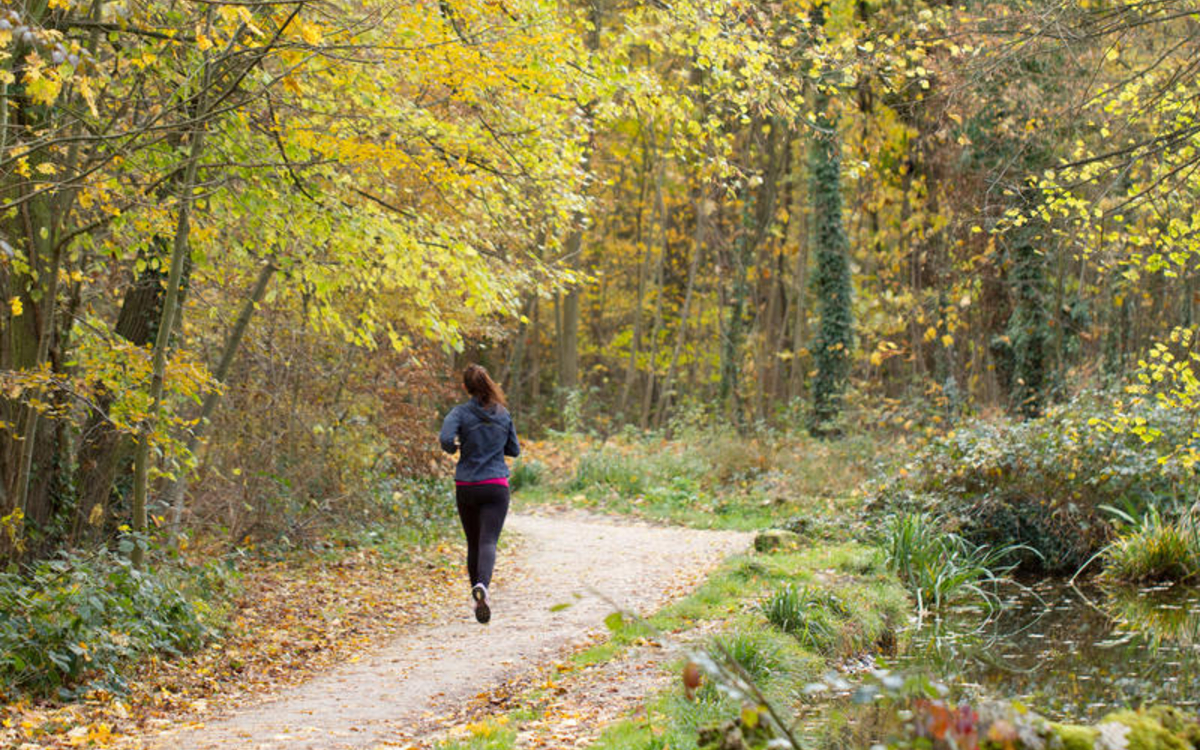 Course à pied dans un parc.